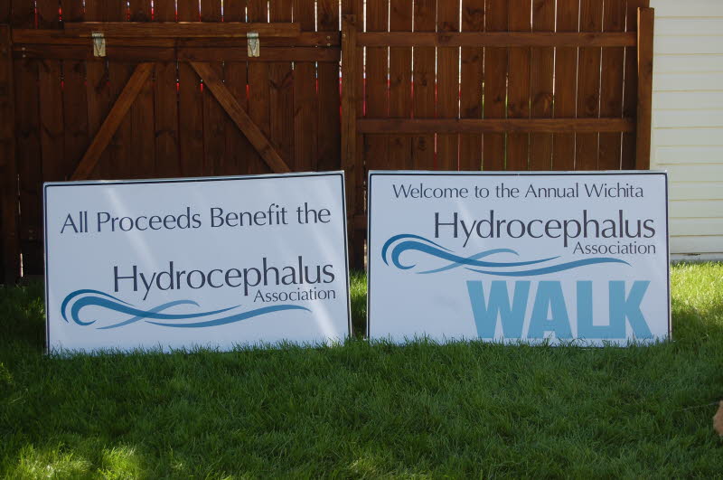Hydrocephalus Walk 2012